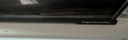 Frog reptiles for sale: 2 tree frogs + fully bioactive enclosure - Advert 7