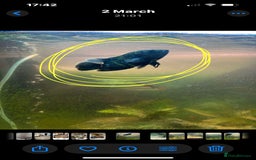 Other/Mixed Breed fish for sale: 3 fish and large tank  - Image 3