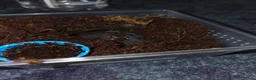 Tarantulas invertebrates for sale: Tarantula slings and juviniles in Bristol - Advert 7