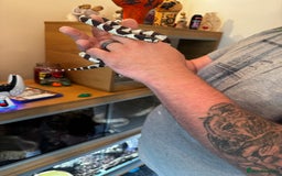 Boa Snake reptiles for sale: Boa, royal and a California king snake for sale  - Image 16