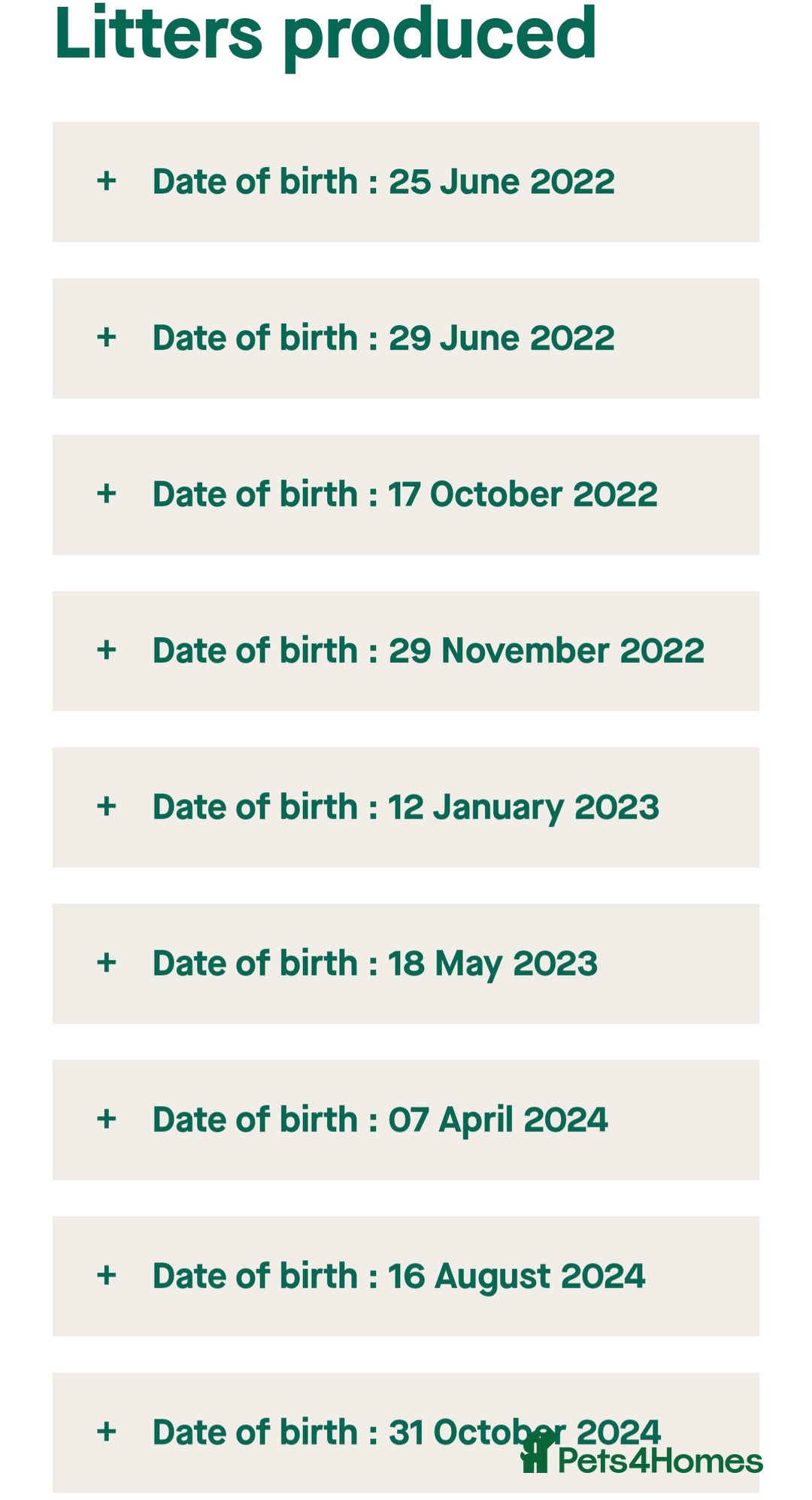 English Bull Terrier dogs for stud: Proven Quality Stud KC (Crufts qualifier) Dorset in Poole - Advert 12