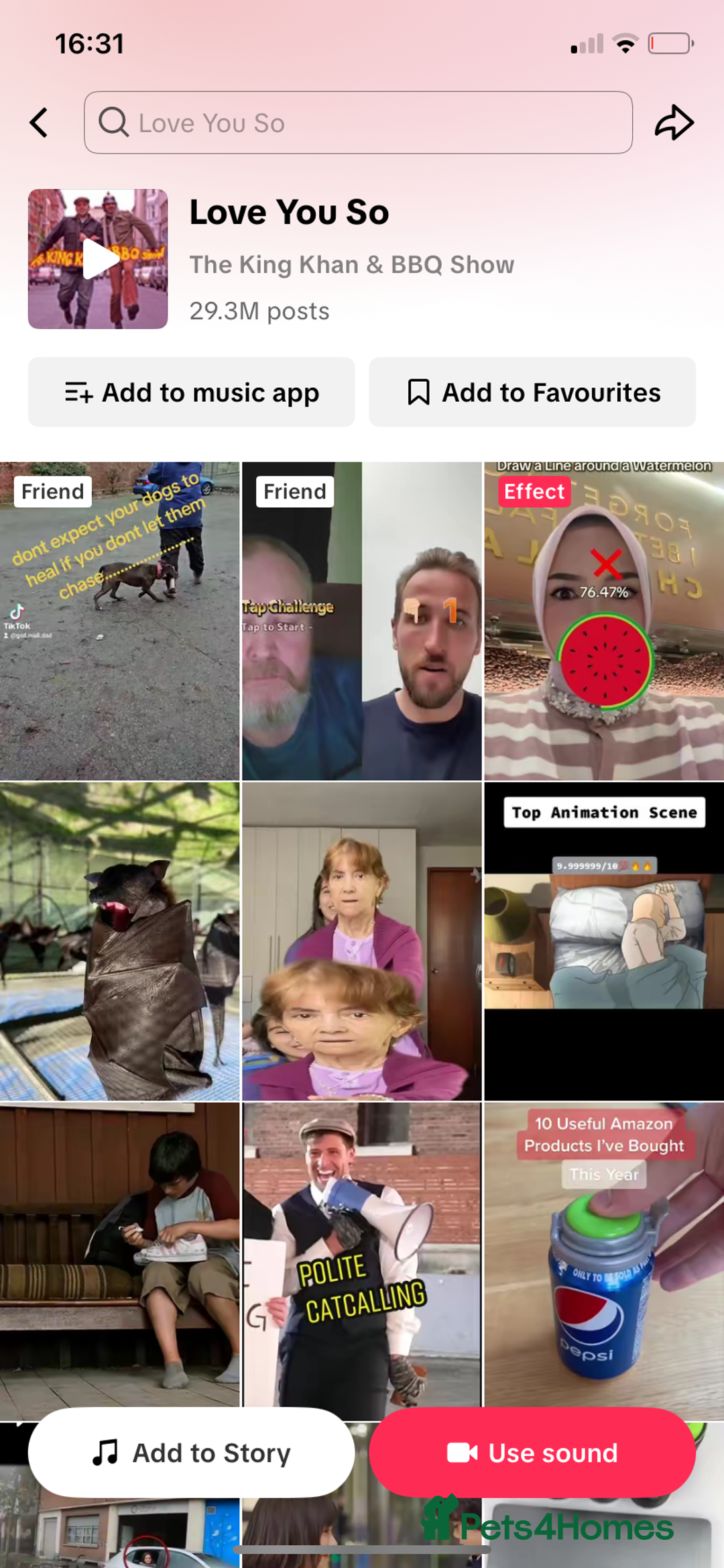 Miniature Dachshund dogs for sale: Two stunning miniature dachshunds lefts - Advert 8