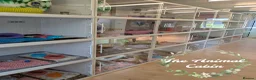 Pygmy Hedgehog rodents for sale: African pygmy hedgehogs, caresheets and tutorials! - Advert 9