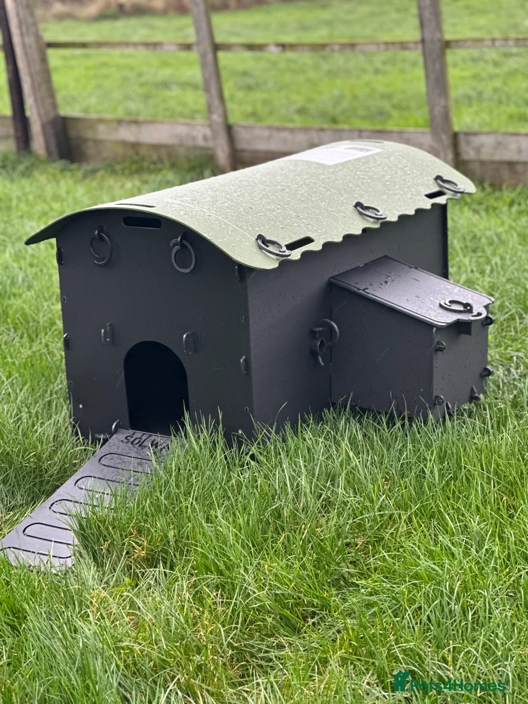 Mixed Breed poultry for sale: Mini Hen Coop - Recycled - 3/4 Birds - Advert 2