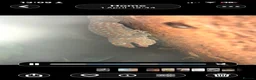 Gecko reptiles for sale: Proven Male Tokay in Normanton - Advert 2