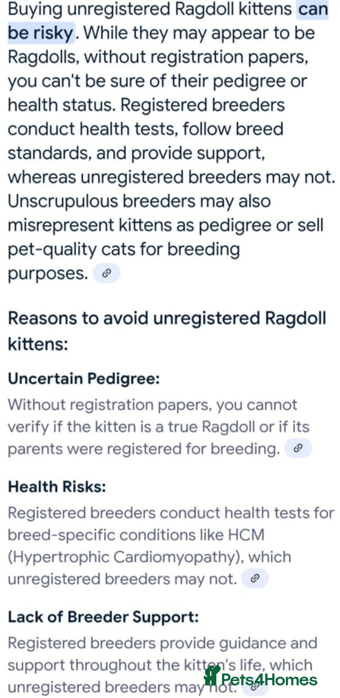 Ragdoll cats for sale: GCCF Registered Pedigree Lilac Point Ragdolls in Dundee - Image 18
