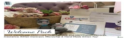 British Longhair cats for sale: Stunning Silver Tipped Longhair Kittens - Advert 5