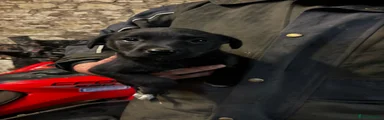 Borador 3