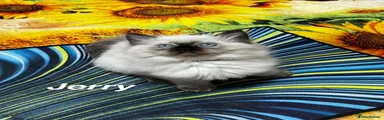 Jerry