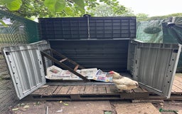 Chickens poultry for sale: Full chicken set up with chickens  - Image 4