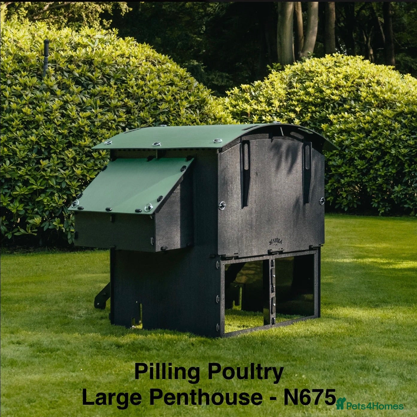 Chickens poultry Pilling Poultry - Penthouse - Large  - Advert 2
