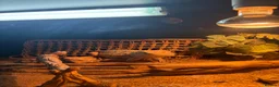 Bearded Dragon reptiles for sale: Name: rocco  in Lancaster - Advert 1