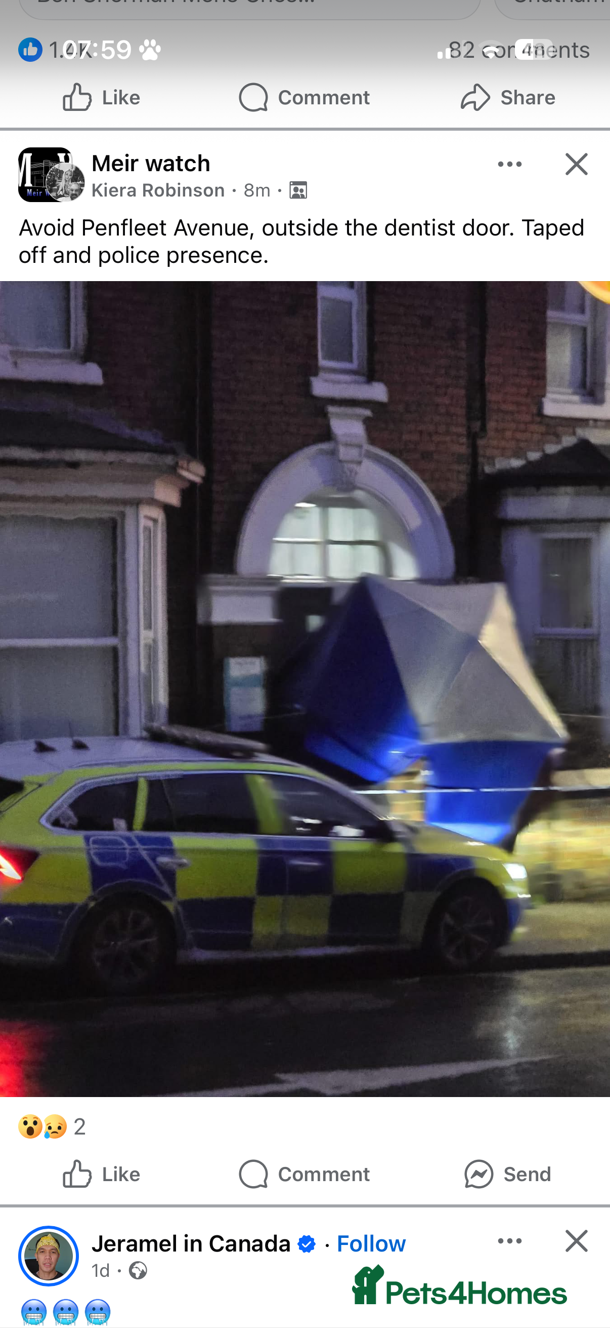 Cockapoo dogs Hehahahshsh - Advert 4