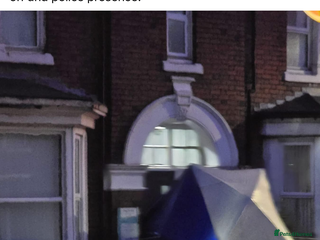 Cockapoo dogs Hehahahshsh - Advert 3