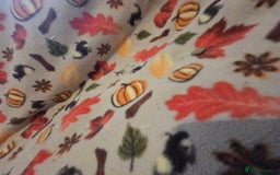 Chinchilla rodents for sale: Black pearl Carriers - Image 17