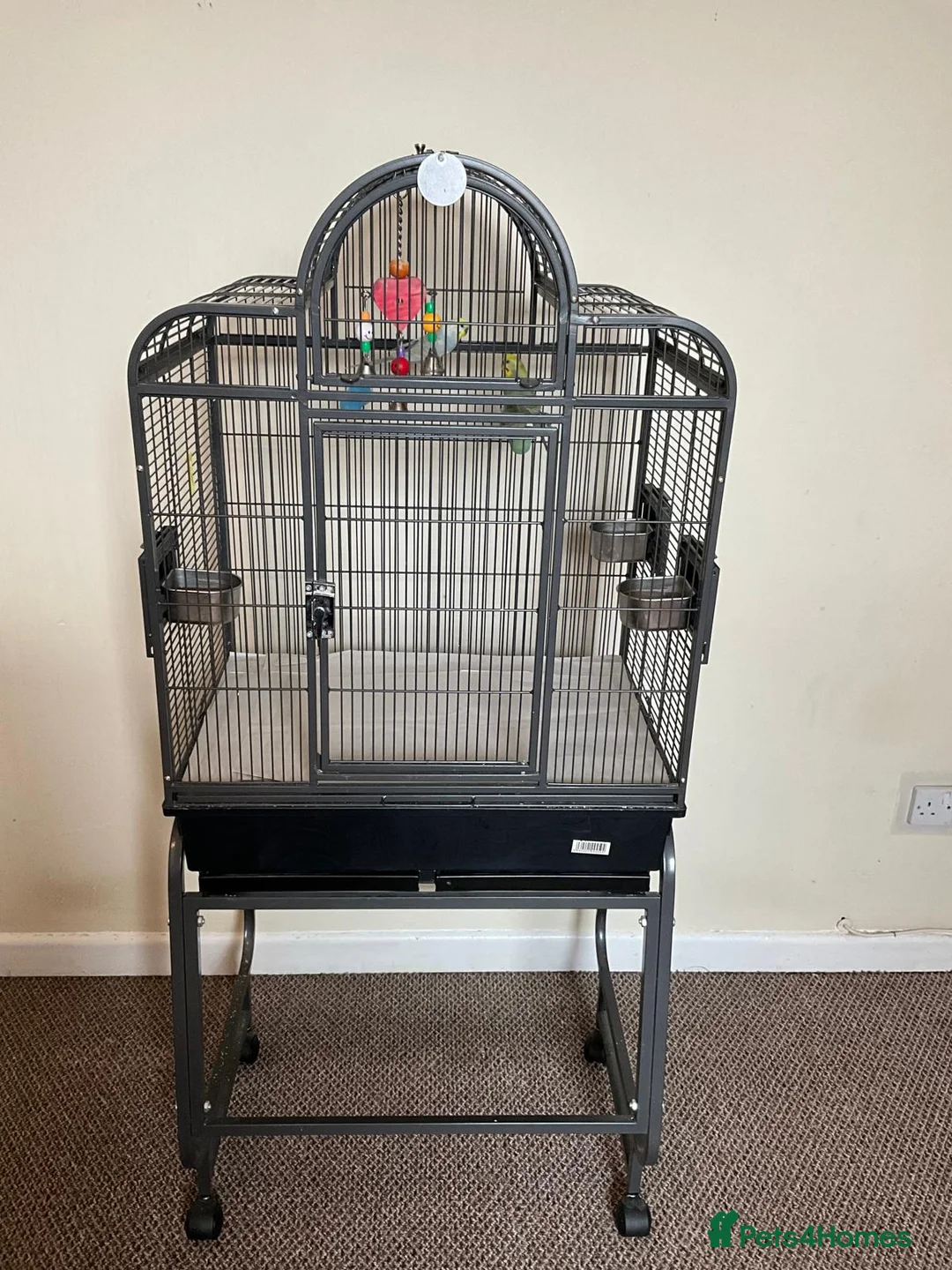 Budgerigars birds for sale: Male and Female Rainbow Budgies including cage - Advert 5