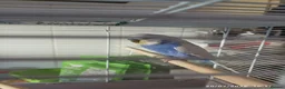 Budgerigars birds for sale: Budgies 1 x male and 2 x babies  - Advert 6