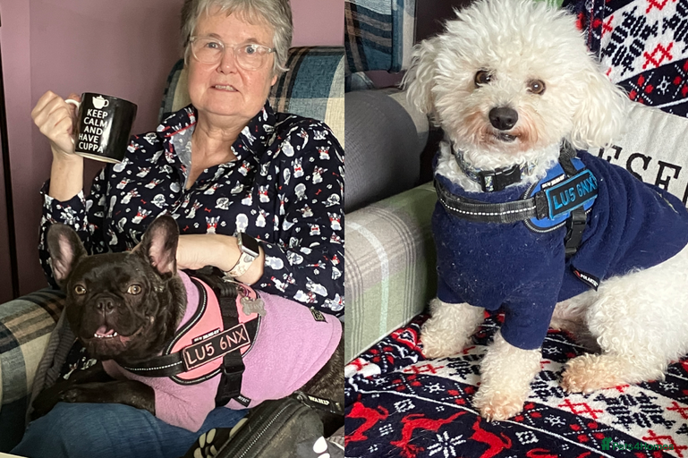 Gallery Image {{count}}