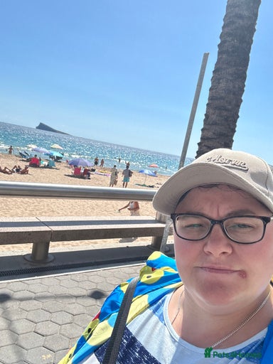 Gallery Image {{count}}