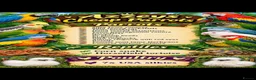 Mixed Breed birds for sale: Various parrot and reptiles  - Advert 1