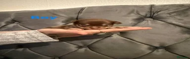 Chihuahua 5
