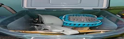 Hamster rodents for sale: Male hamster and buscatate cage  - Advert 2