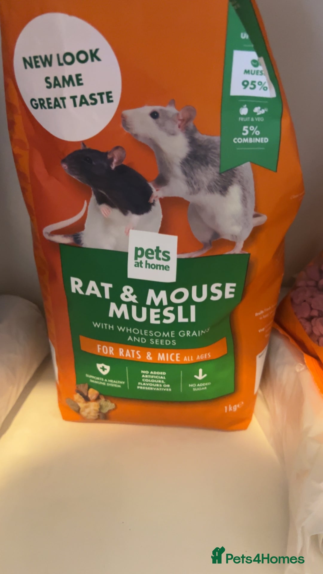 Rat rodents for sale: X2 male rats  - Image 7