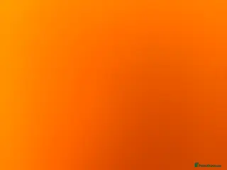 Leopard Gecko reptiles Accident - Advert 13