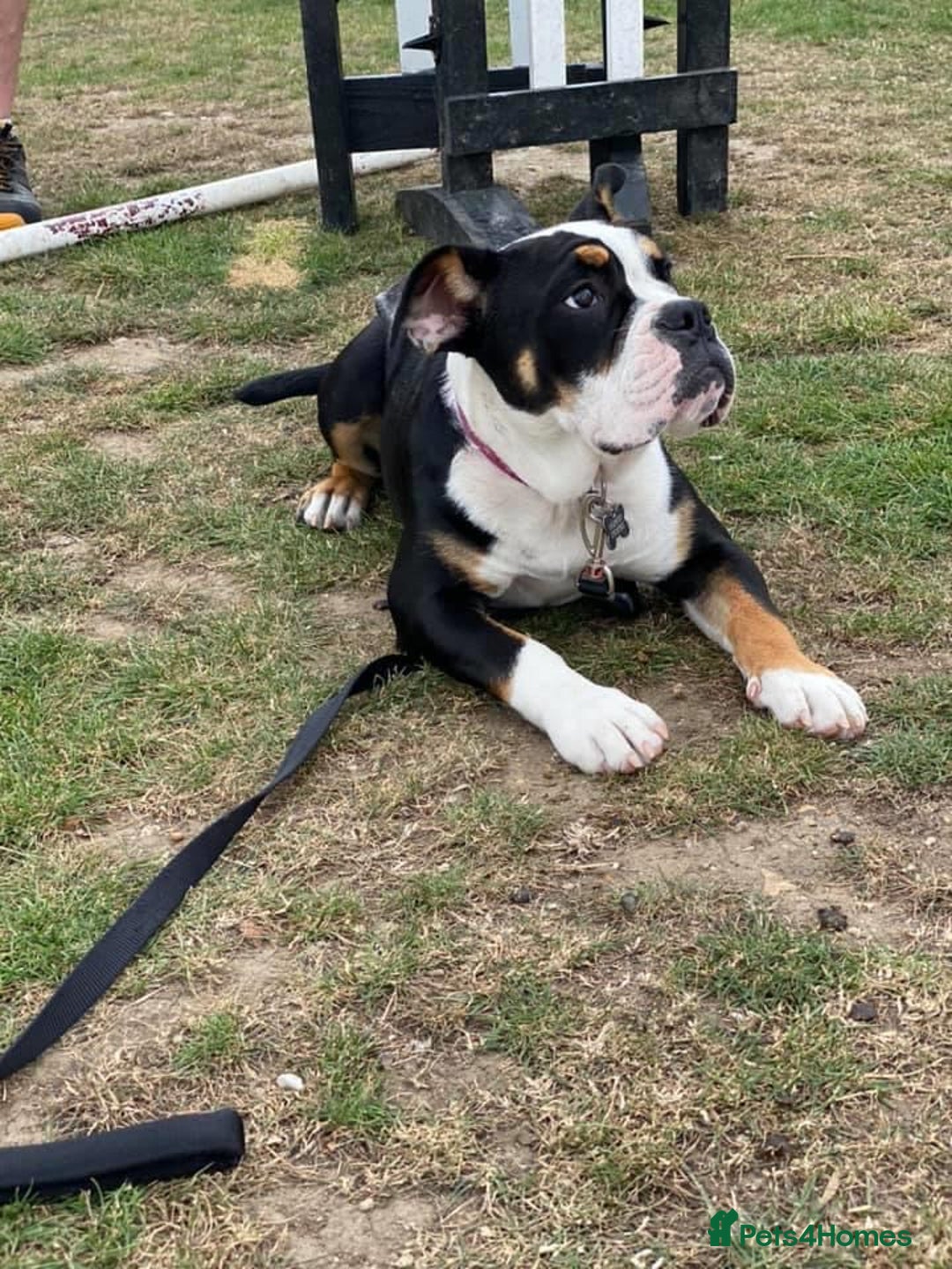 Gallery Image {{count}}