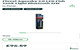Catfish fish for sale: Fluval fish tank for sale and some fish - Image 3