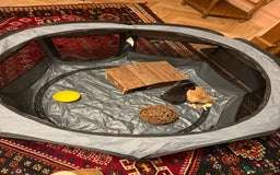 Mini Lop rabbits for sale: 2 amazing mini-lop baby brothers (10 weeks)  - Advert 10