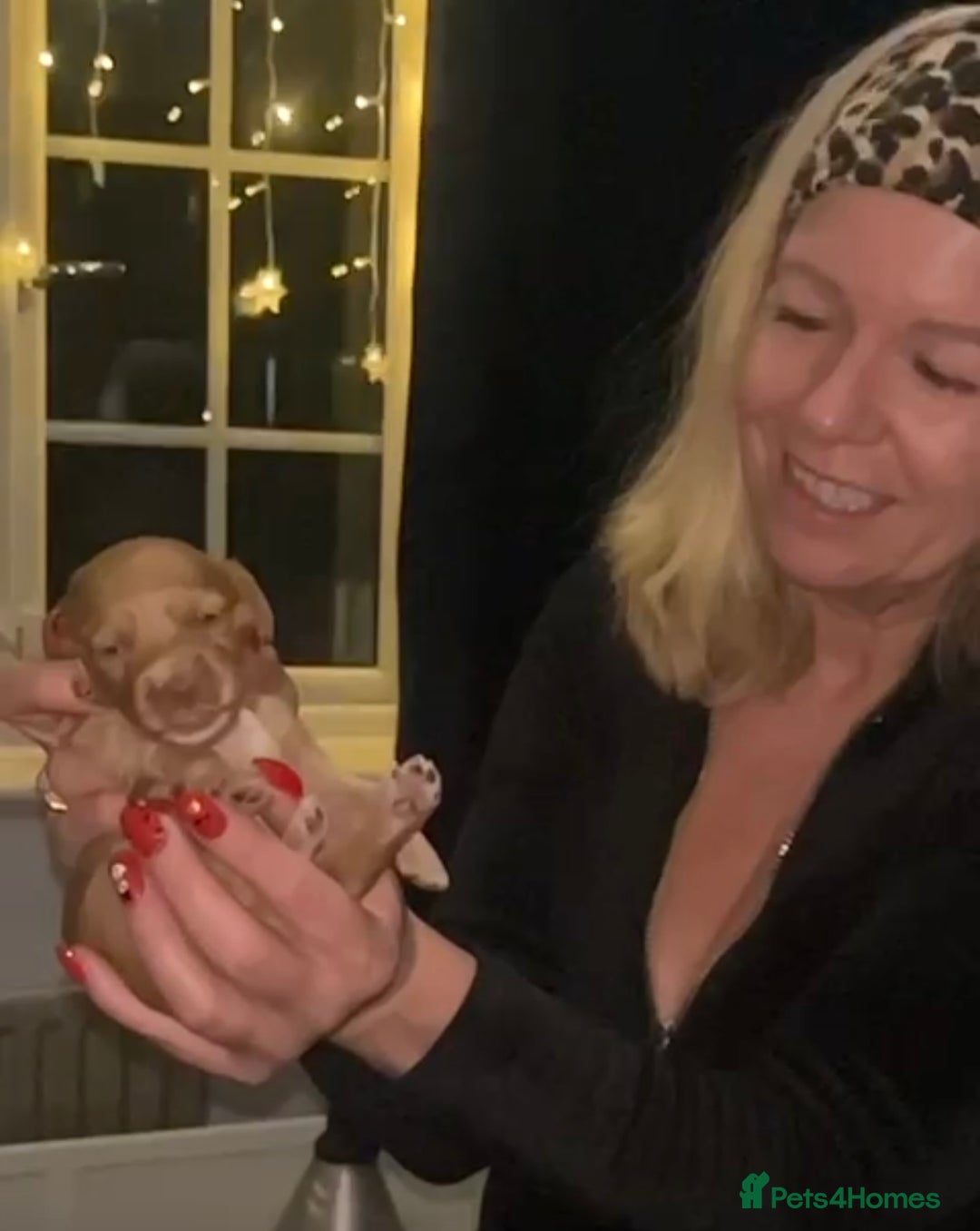 Gallery Image {{count}}