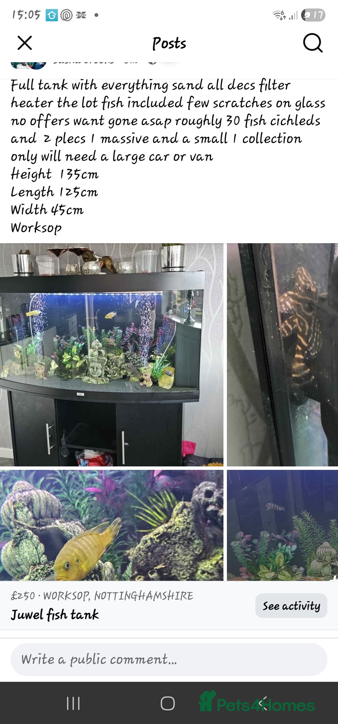 Cichlids fish Juwel fish tanks with everything  - Advert 16