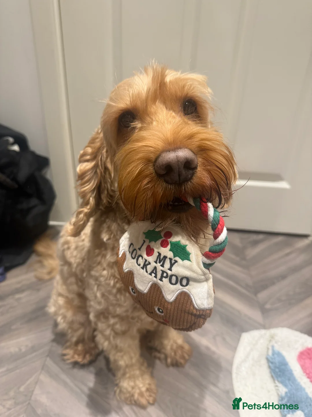 Gallery Image {{count}}