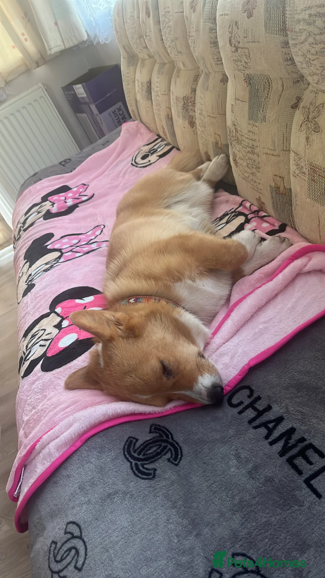 Gallery Image {{count}}