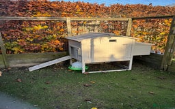 Chickens poultry for sale: Pekin Bantams and coop for sale - Advert 3
