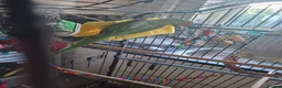 Parrots birds for sale: Alexandrine and quaker parrots  - Advert 5