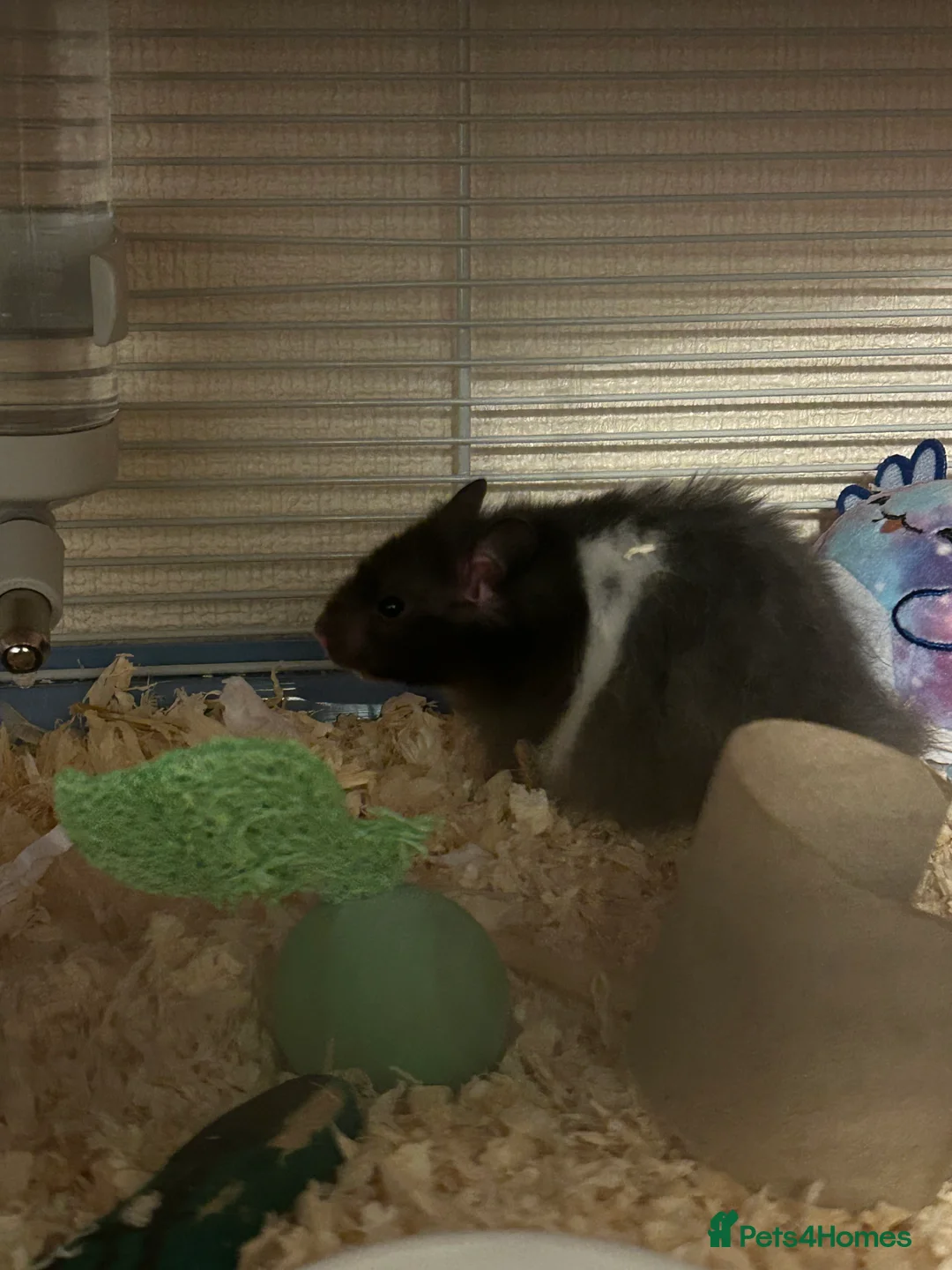 Gallery Image {{count}}