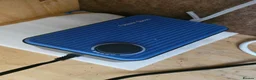 Terrapin reptiles for sale: Carolina diamondback terrapin (male) 1yr old in Coalville - Advert 6