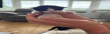 Mixed Breed 5