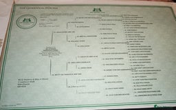 German Shepherd dogs for stud: KENSESQUI SIMBA (Simba) - Image 9