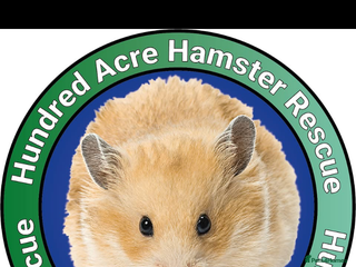 Hamster rodents - Advert 13