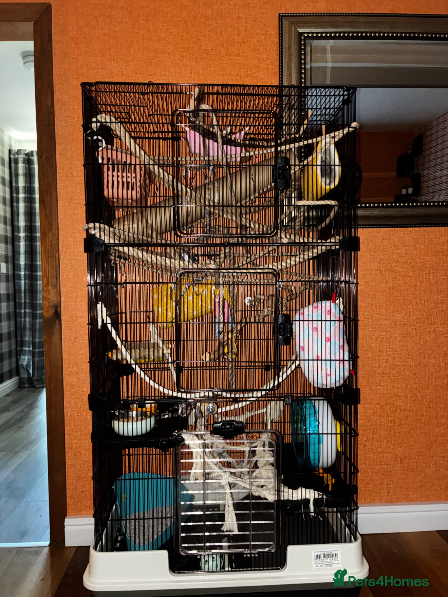 Rat rodents 2 female rats and 3 tier cage and accessories  - Advert 1