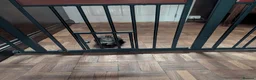 Mixed Breed cats for sale: Beautiful kittens ready for new homes NOW! in King's Lynn - Advert 20