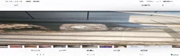 Gerbil rodents for sale: 2 gerbils for rehoming - Advert 3