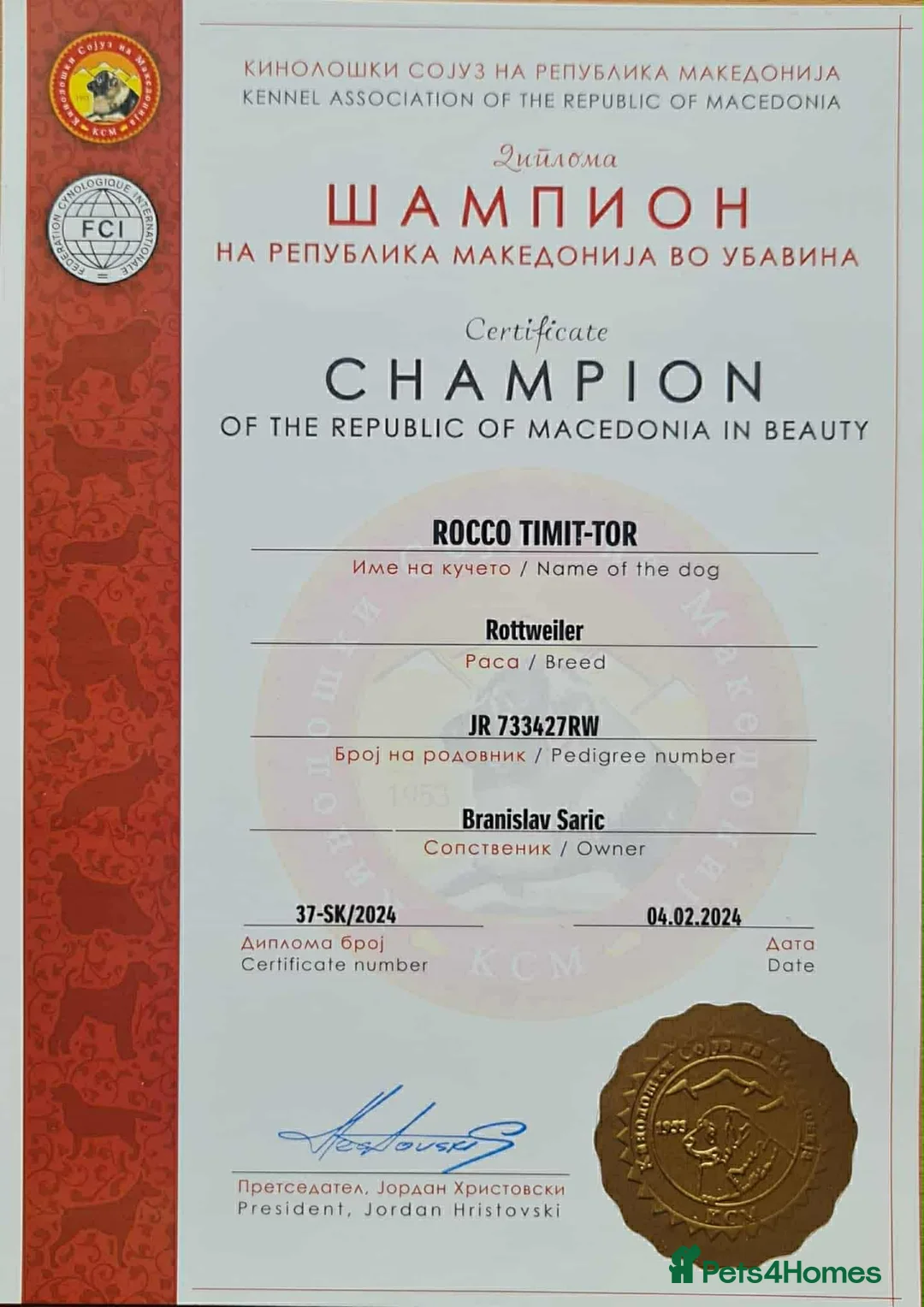 Rottweiler dogs for sale: Top quality kc pups for sale timitor X edelstein - Advert 35