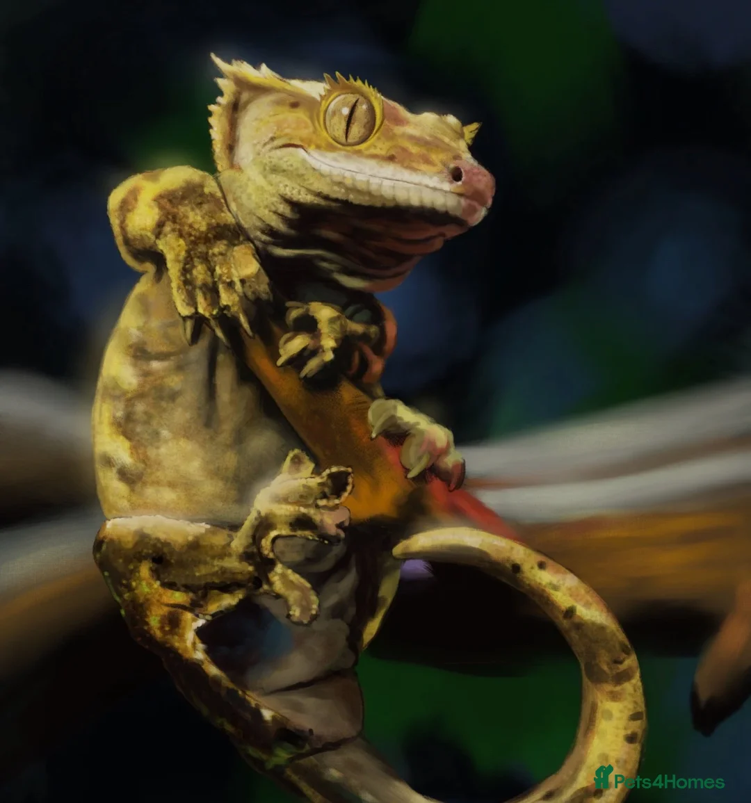 Gallery Image {{count}}