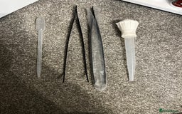 Axolotl reptiles for sale: 2 Adult male Axolotls and Full set up  - Image 10