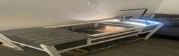 Tortoise reptiles for sale: Horsfield Tortoise - Advert 6