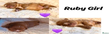 💜